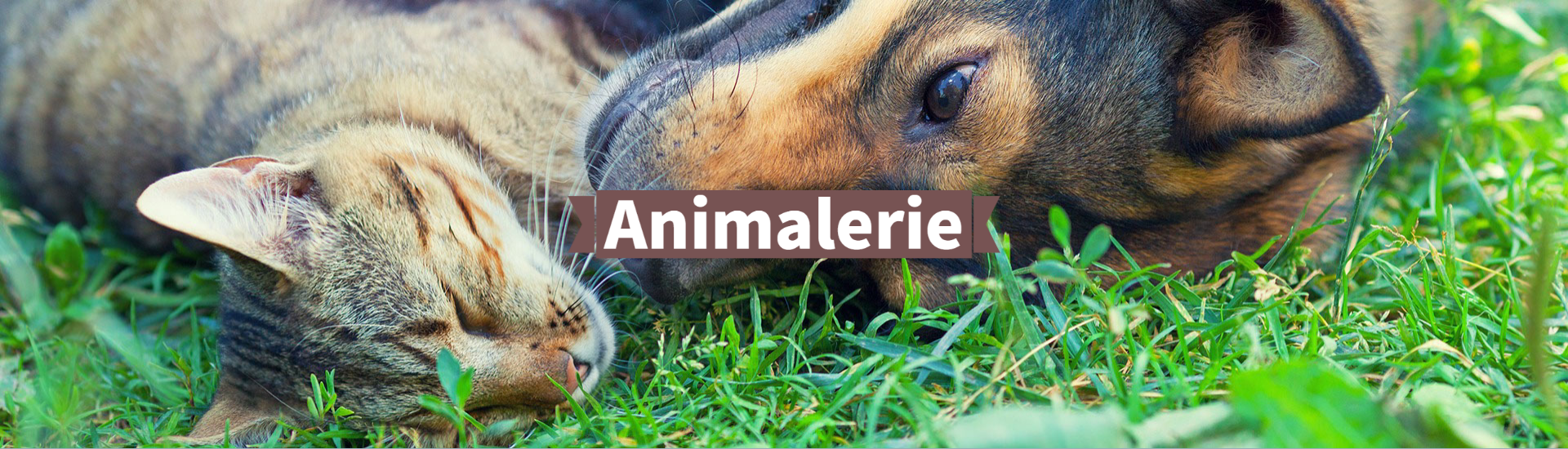 animalerie